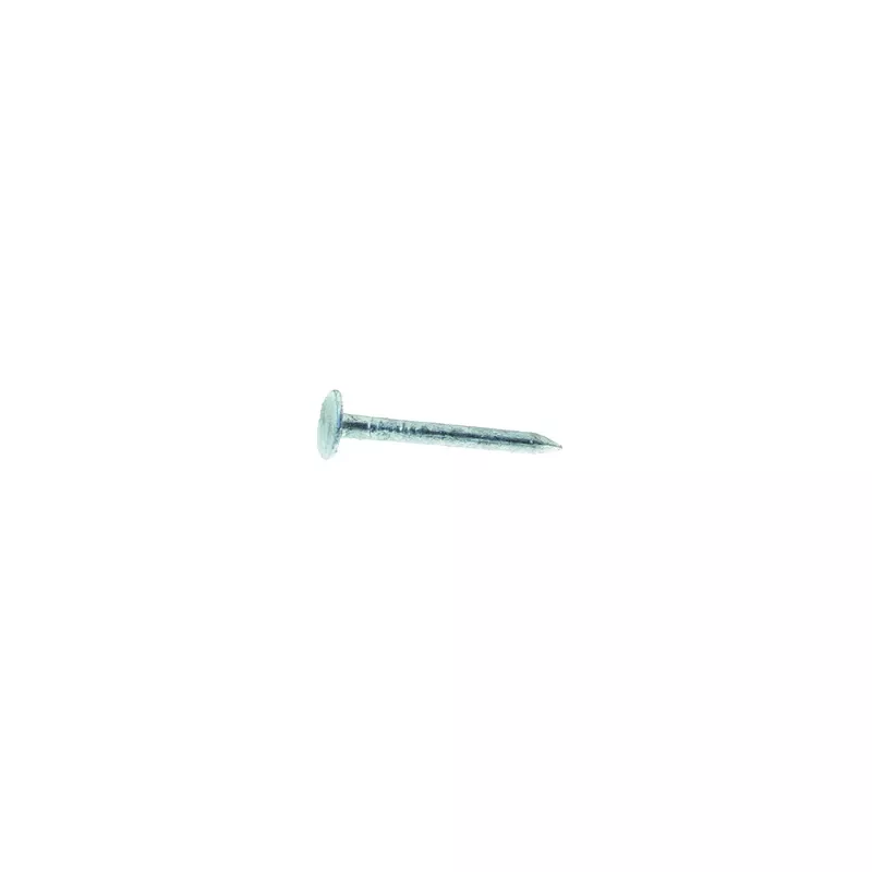 1 In. Hot-dipped Galvanized Steel Roofing Nails Flat Head 5 Lb Box